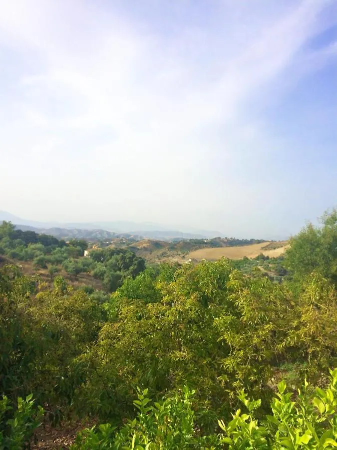 Spacious Villa With Pool In Coin: 300 M² Mountain View